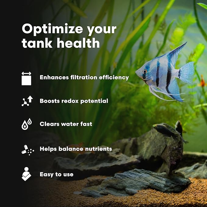 Brightwell Aquatics RedoxIclean Organic Waste Cleaner and Redox Enhancer Improves Water Clarity Filtration and Breakdown in Freshwater Marine Aquariums, 250 ml