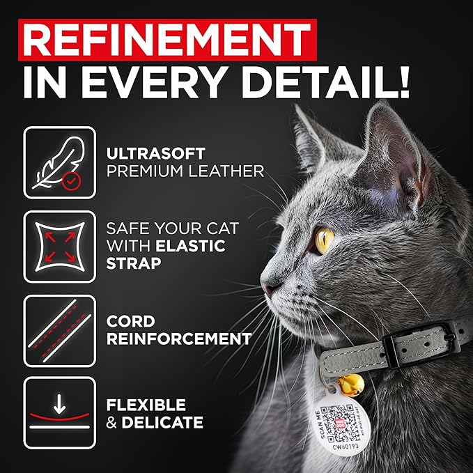 Leather Cat Collar with Bell & Elastic Strap - Pet Collar Leather - Leather Kitten Collar - Cats Small and Big Cat Collar for Boy Cats, Girl Cats with Safety Elastic Strap (Gray, 6" - 8")