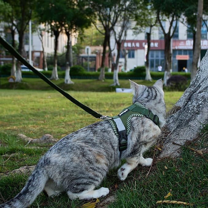 Cat Harness and Leash Escape Proof Medium Kitten Harness Bengal Cat Vest for Walking Travel, Dark Green, M