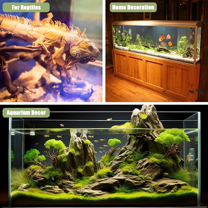 Driftwood for Aquarium, 3 Pieces 6-10" Natural Small Drift Wood Fish Tank Assorted Branch Decorations Pieces for Reptile Hide