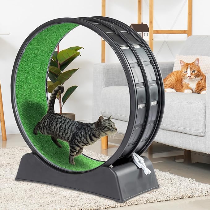 VINGLI Cat Exercise Wheel, Cat Treadmill with Carpeted Runway, 31 Inch Cats Running Wheel for Weight Loss & Daily Exercise, Black (31 Inch)