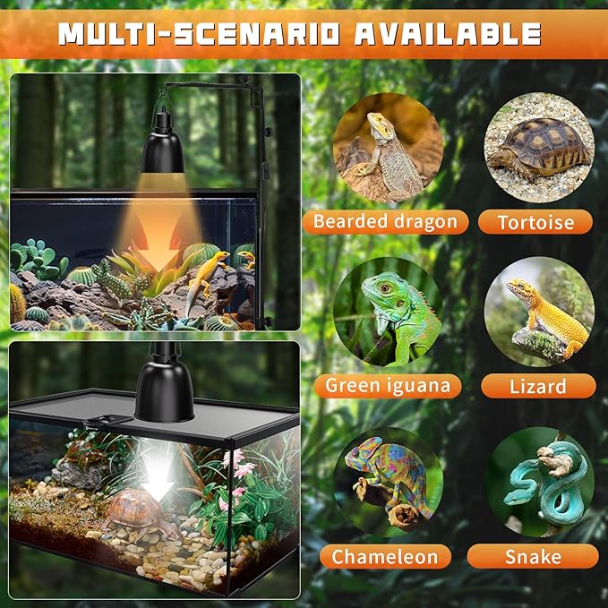 Reptile Light Fixture with Thermostatic Timer, 5.5 Inch Deep Dome Reptile Heat Lamp Fixture with Thermostatic Timing Remote Control Max 160W for Reptile Glass Terrariums