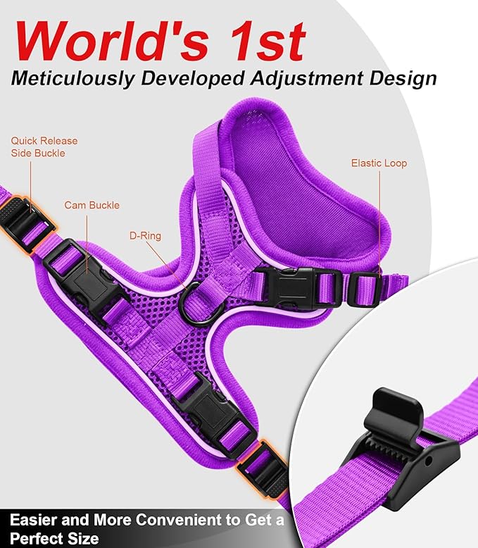 Cat Harness and Leash for Walking Escape Proof Soft Adjustable Cat Leash Breathable Comfortable Vest Easy to Wear Kitten Harness for Outdoor Travel Purple S