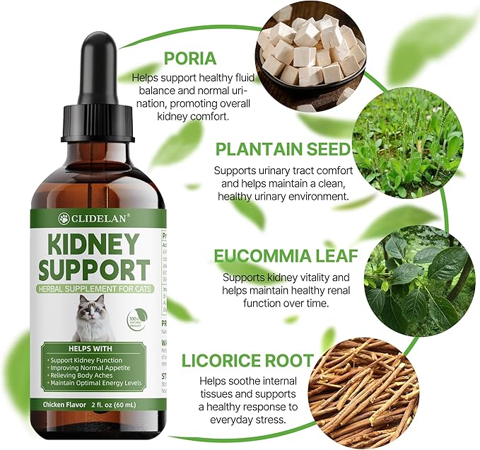 Cat Kidney Support – Kidney Support Supplement for Cats Feline Health, Fluid Balance & Appetite, Veterinarian-Formulated Herbal Supplement 2 fl oz–for Normal Kidney Cleanse and Essential Kidney Care