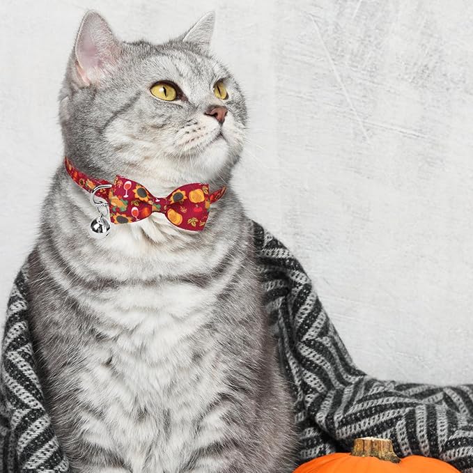 SCENEREAL Fall Thanksgiviing Cat Collar Breakaway, 3 Pack Kitten Collars with Bell, Bowtie and Safety Buckle - Adjustable Cute Holiday Cat Collars with Turkey and Pumpkin Pattern for Girl Boy