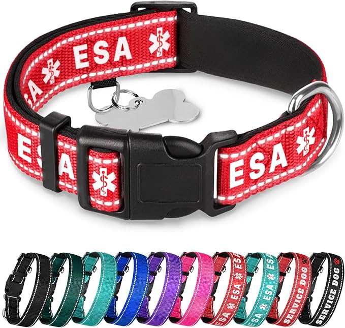 TECEUM Reflective Pet Collar β Red - ESA β XL β Extra Soft Padding β Basic Nylon Dog Collar β Quick Release Buckle β Fits Small, Medium and Large Dogs, Puppies, Cats β ESA & Service Dog Options