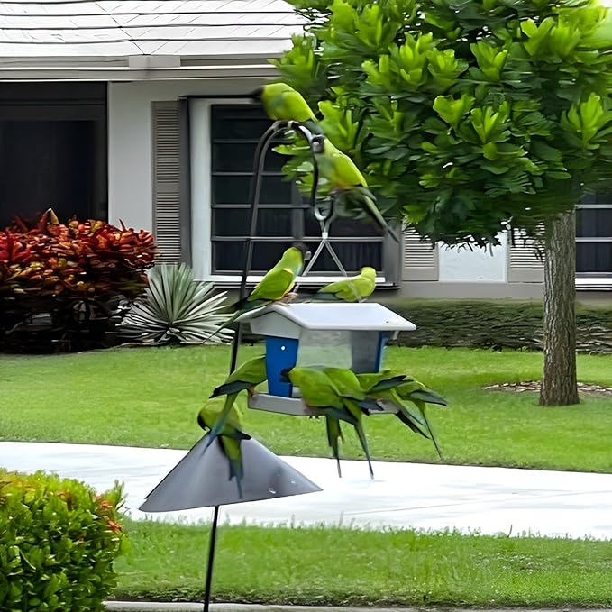 Plastic Hanging Hopper Bird Feeder, Large Bird Feeders for Outdoors, Suitable for Food, Seed, Mealworm (Large, Light Gray & Blue)