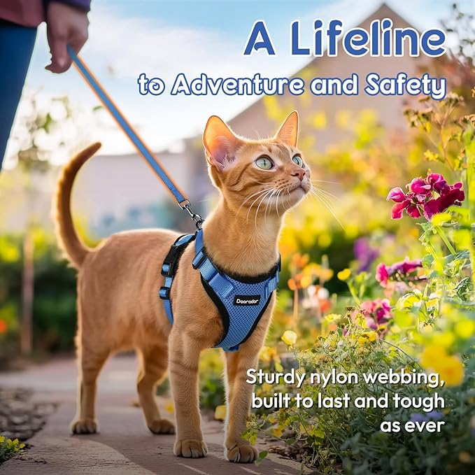 Dooradar Cat Harness and Leash Set, Escape Proof Safe Adjustable Kitten Vest Harnesses for Walking, Easy Control Soft Breathable Mesh Jacket with Reflective Strips for Cats, Blue, S