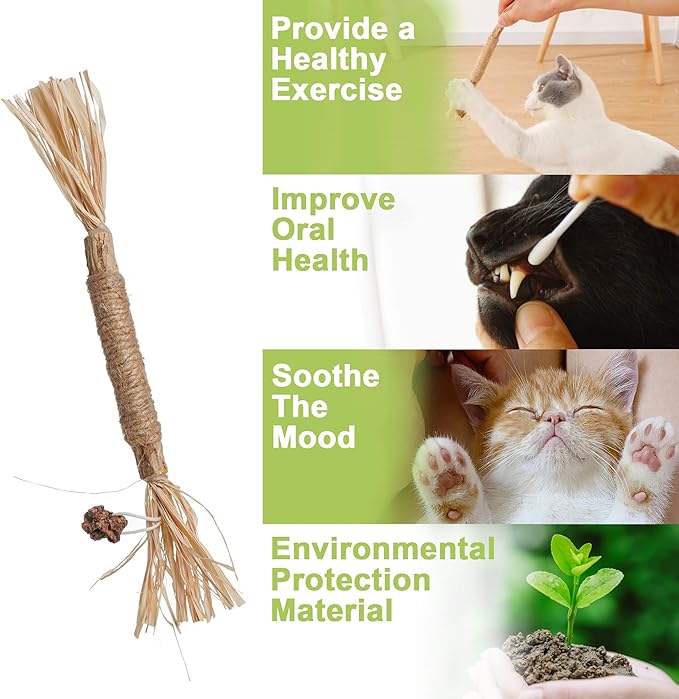 PAZ'S GIFT Catnip Toy Cat Toys Catnip Toy cat chew Toy cat Kicking silvervine Stick Teeth Cleaning Cute Kitten Teething Indoor Interactivecat Dental Care Matatabi (Raffia 2pcs)