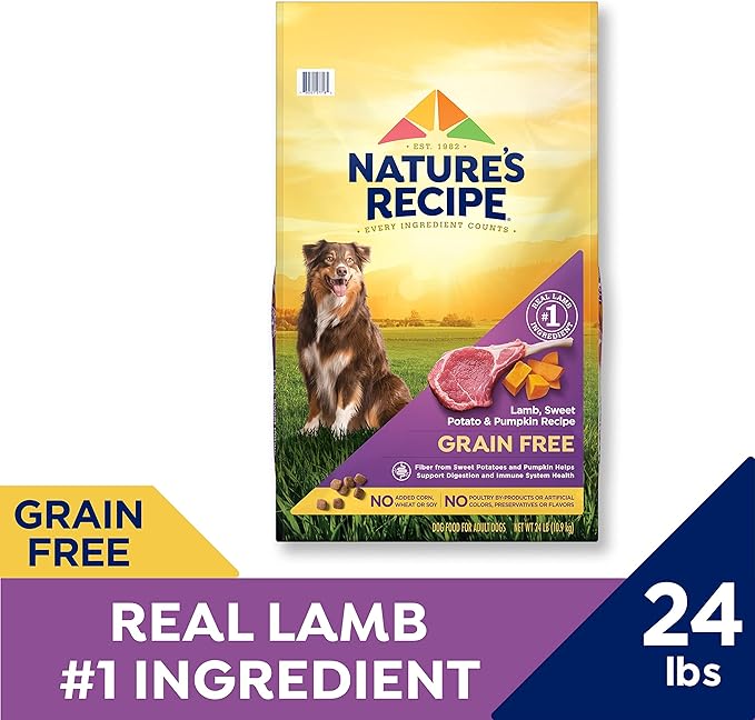 Nature’s Recipe Grain Free Lamb, Sweet Potato & Pumpkin Recipe Dry Dog Food, 24 lb. Bag