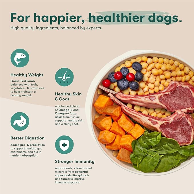 Jinx Premium Grain-Free Dry Dog Food, for All Lifestages - Grass-Fed Lamb, Sweet Potato & Carrot Dog Food with Superfoods for Immune Support & Probiotics for Digestive Support - No Fillers - 4lb