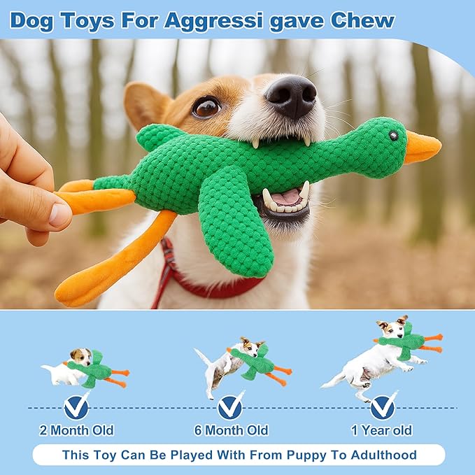 Dog Toys for Aggressive Chewers, Goose Chew Toy for Dogs, Squeaker Crinkle Plush Toy, Tough Interactive Dog Chew Toys, Green