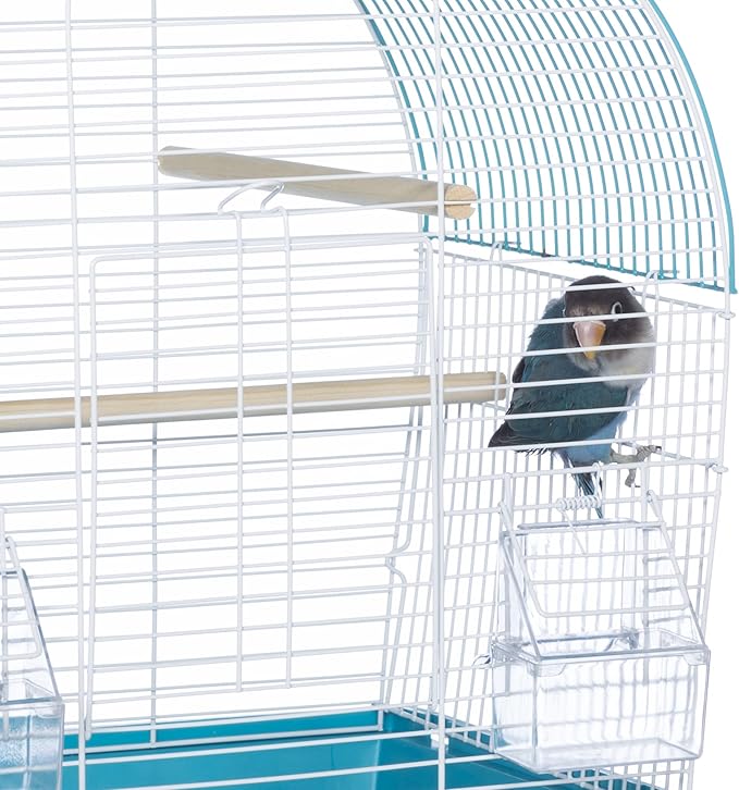 Prevue Pet Products South Beach Dome Top Bird Cage, Teal (SP50071),14 1/8" L x 11 1/4" W x 18 1/8" H