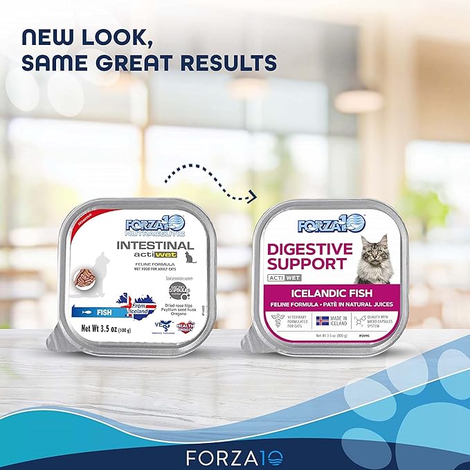 Forza10 Wet Cat Food Intestinal, Fish Salmon Cat Food Flavor, Sensitive Stomach Wet Cat Food for Adult Cats with Gastrointestinal and Digestive Problems (32 Pack)