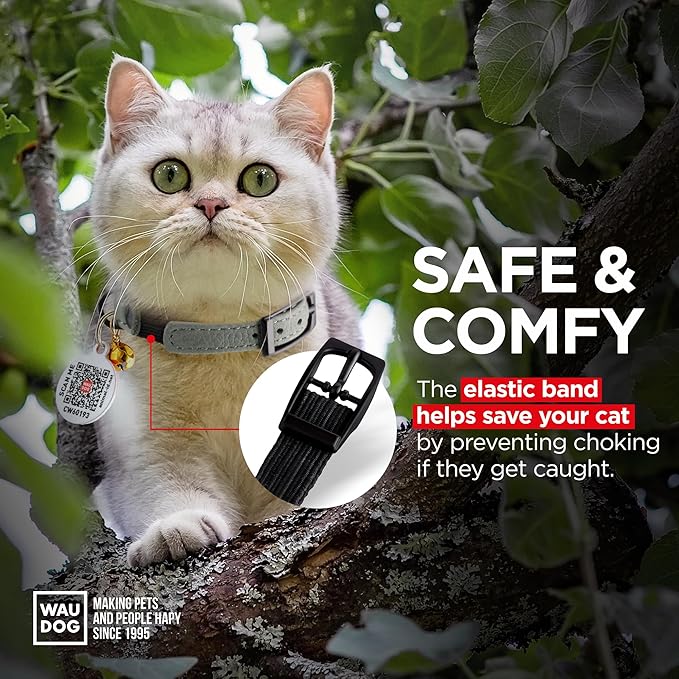 Leather Cat Collar with Bell & Elastic Strap - Pet Collar Leather - Leather Kitten Collar - Cats Small and Big Cat Collar for Boy Cats, Girl Cats with Safety Elastic Strap (Gray, 6" - 8")