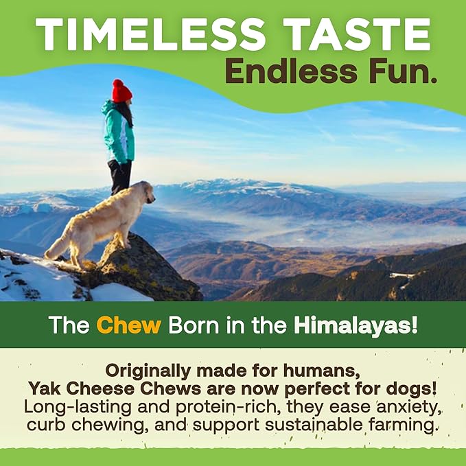 EcoKind Premium Gold Yak Cheese Himalayan Dog Chews, Dog Treats Large Breed, All Natural, High Protein Dog Chew, Cheese, Large - 1 Chew