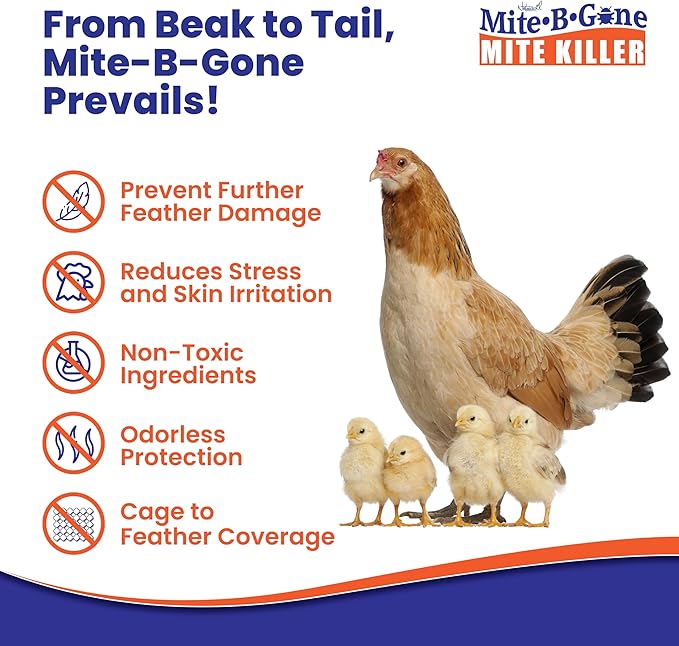 Mite Killer Treatment Spray Pack by Mite-B-Gone — Kills All Types of Mites, Dust, Spider, Rat, Carpet & Bird Mites | Safe for Homes, Furniture & Animals | Non-Toxic | Kid & Pet Friendly | 1 Gal 4-Pack