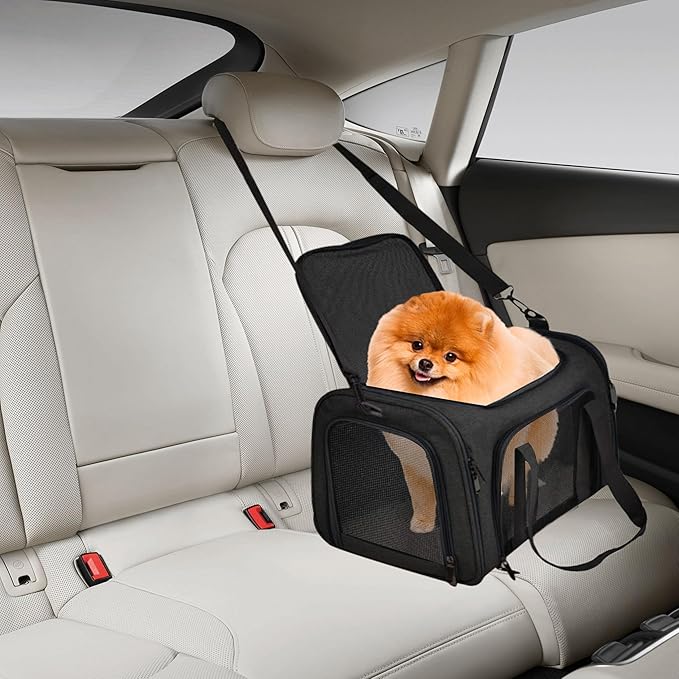 Airline Approved Soft Sided Pet Carrier for Small and Medium Dogs, Cats, and Puppies (Up to 15 lbs), Collapsible Portable Travel Bag for Dogs Cats (Black)