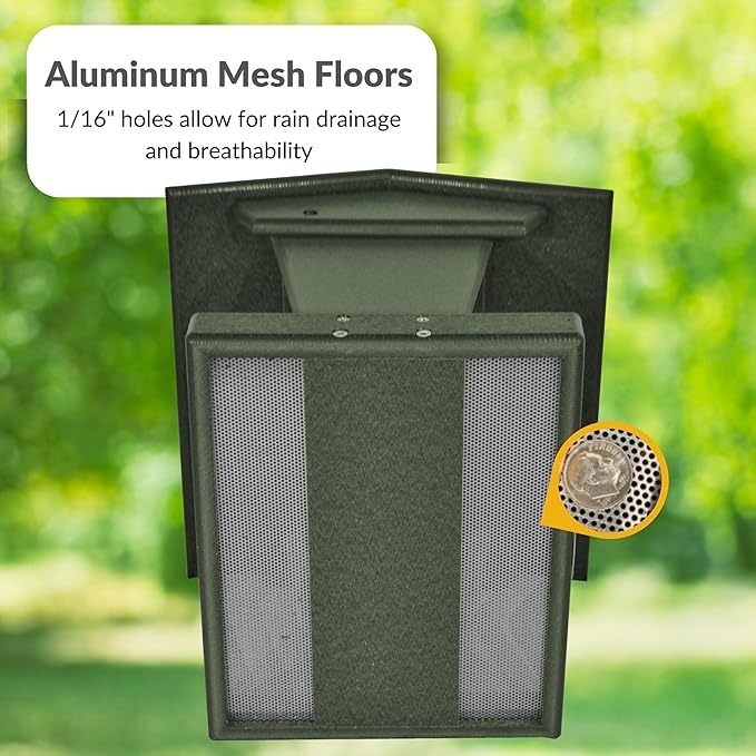 Plastic Hanging Hopper Bird Feeder, Large Bird Feeders for Outdoors, Suitable for Food, Seed, Mealworm (Large, Turf Green)