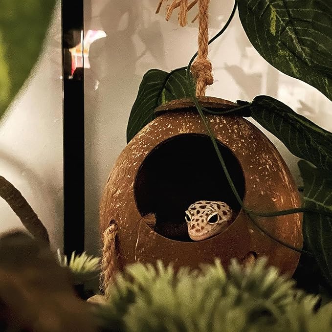 Crested Gecko Coconut Hut with Ladder,Bearded Dragon Coco Den Reptile Shell Hideout Husk Hut Climbing Plants Leaves Tank Accessories for Lizard Chameleon Snakes