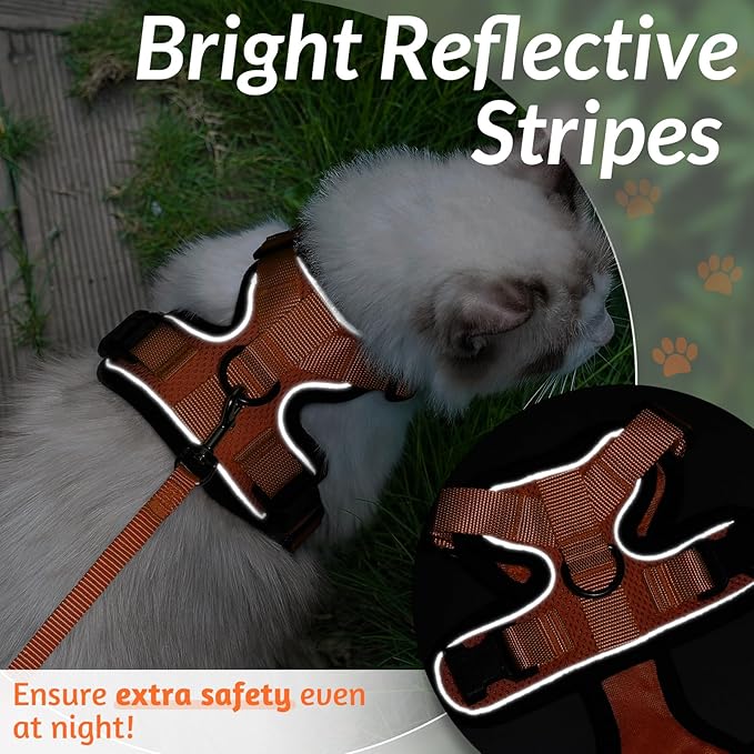 rabbitgoo Cat Harness and Leash for Walking, Escape Proof Soft Adjustable Vest Harnesses for Cats, Easy Control Breathable Reflective Strips Jacket, Orange, M