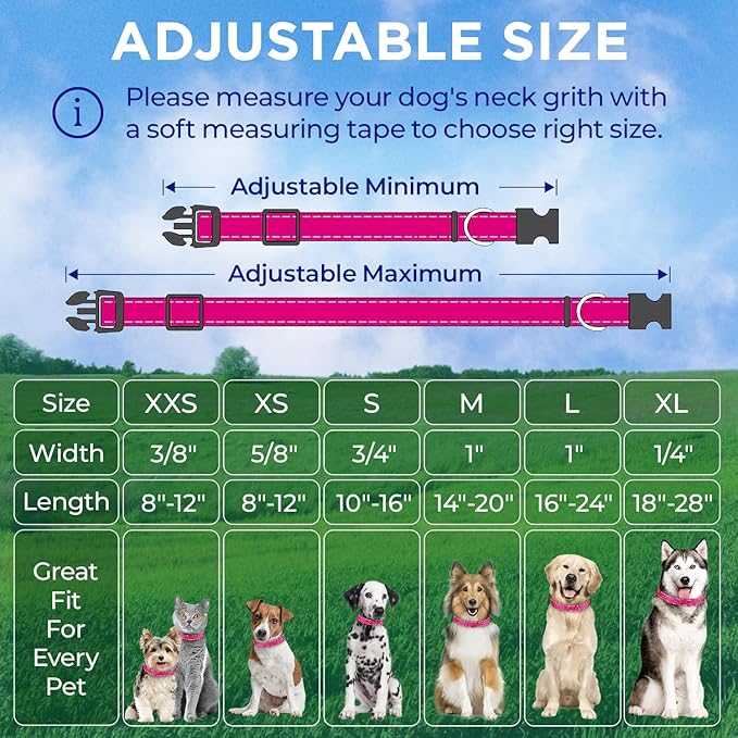 TECEUM Reflective Dog Collar β Hot Pink β S β Extra Soft Padding β Basic Nylon Pet Collar β Quick Release Buckle β Fits Small, Medium and Large Dogs, Puppies, Cats β ESA & Service Dog Options