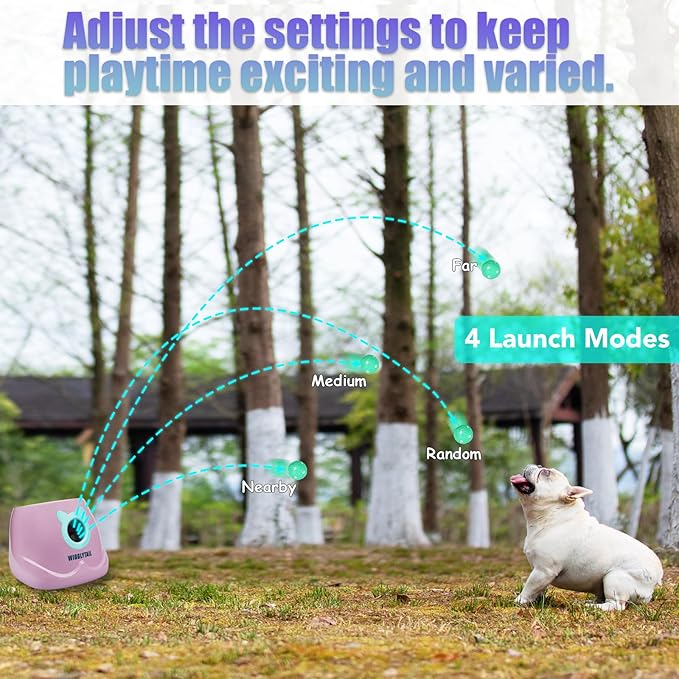 Automatic Dog Ball Launcher, Dog Ball Fetch Machine with Remote Control, Auto Ball Thrower for Small Dogs and Puppies, Pet Self Playing Toys, Indoor and Outdoor Interactive Toys with 10 Balls