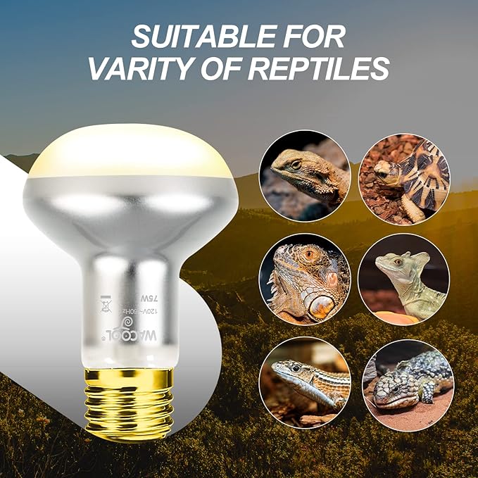 WACOOL 4 Pack Heat Lamp Bulbs for Reptiles, 75W Intense Basking Spot Lights, Simulate Daytime Sunshine Heat Bulbs, UVA Daylight