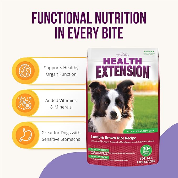 Health Extension Lamb & Brown Rice Dry Dog Food (4 lb / 1.81 kg) - Nutritious Free-Range Lamb Formula with Probiotics, Antioxidants & Omega 3 for Dogs with Sensitive Digestion (Pack of 2)