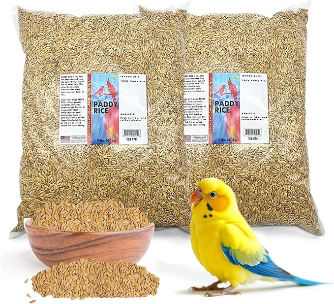 Morning Bird Paddy Rice Bird Seed for Optimal Health & Nutritious Pet Bird Food – Supports Feathers & Immunity – Ideal for All Seed Eating Birds.18 lbs (2-Pack, 9 lbs Each)