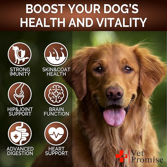 (2 Pack) Mushroom for Dogs - 340 Chews - Turkey Tail - Mushroom Supplement for Dogs - Lions Mane - Reishi - Immunity Support Multivitamin Vitamins - Joint Health - Energy - Gut - Skin - Made in USA