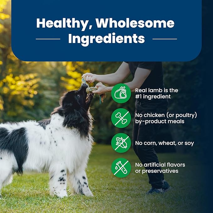 Blue Buffalo Life Protection Formula Natural Adult Dry Dog Food, Lamb and Brown Rice 15-lb