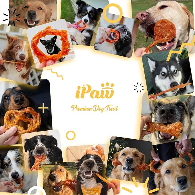 iPaw Turkey Tendon for Dogs, Ingredient Sourced from USA, Hypoallergenic, All Natural Human Grade Puppy Chew, Dog Treats for Signature Series, Rawhide Alternative, 10 Units/Bag Bone (Small)