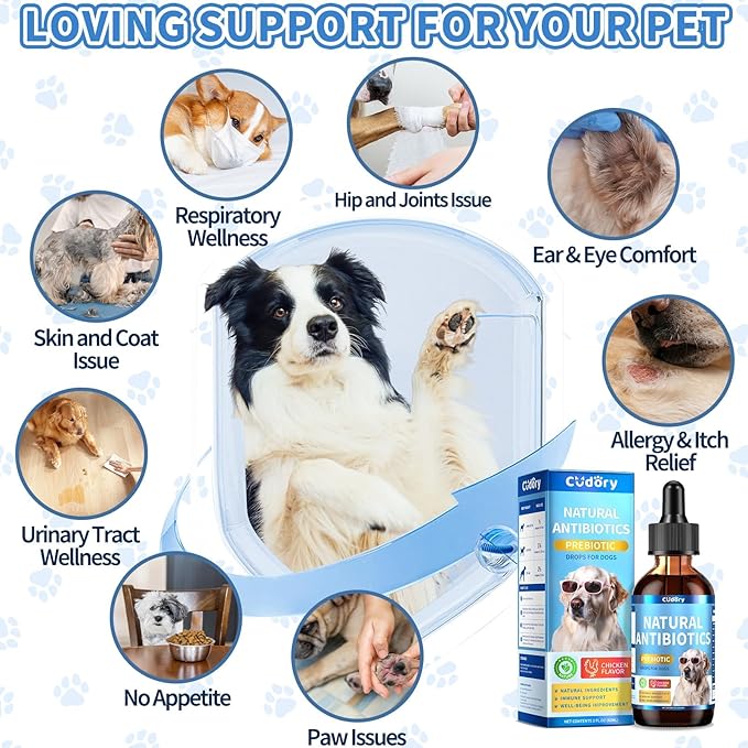 Natural Antibiotics for Dogs, Herbal Dog Antibiotics Supplement in Drops with Prebiotics, Natural Herbal Supports for Dogs Puppy All Breeds and Ages-Chicken Flavor | 2 fl oz