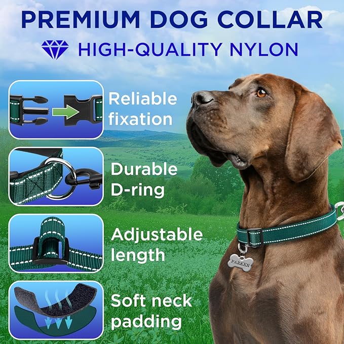 TECEUM Reflective Dog Collar β Dark Emerald Green β M β Extra Soft Padding β Basic Nylon Pet Collar β Quick Release Buckle β Fits Small, Medium and Large Dogs, Puppies, Cats