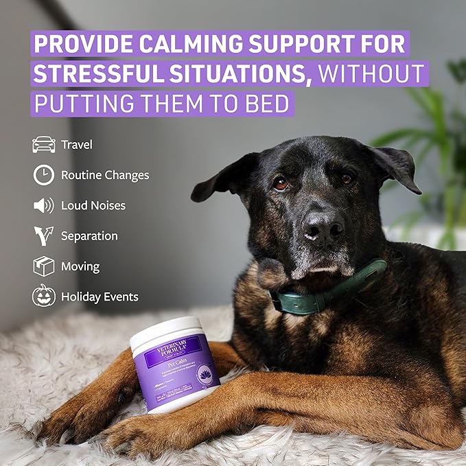 Veterinary Formula Smart Vitality Pet Calm Supplement for Dogs - Soft Chews, 100ct - Promotes a Sense of Relaxation During Moments That May Cause Stress - Fireworks, Travel, Changes in Routine