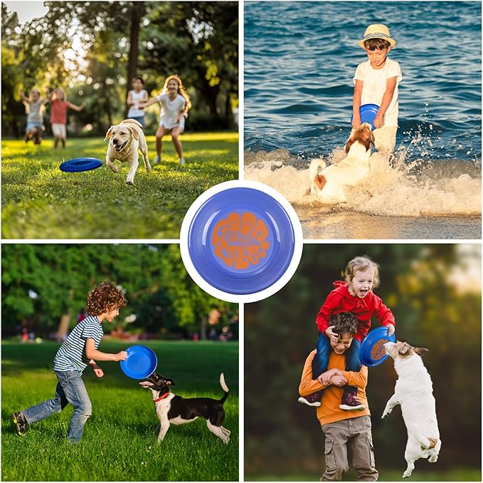 Wham-O Frisbee Fastback Flying Disc, 9.35 Inch Dog-Friendly Lightweight Toy for Professional Players Outdoor Beach Park Backyard Game - 100g