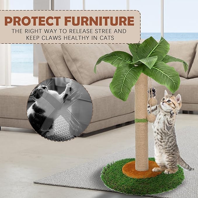 Cat Scratching Post for Indoor Cats and Kitten - 23.6 Inch Tall Cat Scratching Post with Sisal Rope, Palm Tree Scratch Post with Hanging Ball
