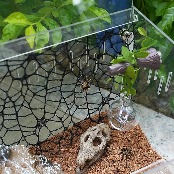 5Pcs Jumping Spider Hide Enclosure Habitat Accessories with Decoration Glass Ball, Feed Bowl and Climbing Web, Spider Hideout Accessories, Suitable for Small Reptile (Not Included Enclosures)
