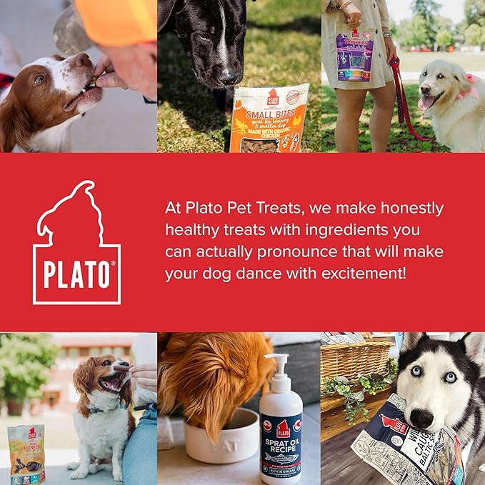 Plato Pet Treats Thinkers - Meat Sticks for Dogs - Limited Ingredient Treats with EPA and DHA to Support Skin, Coat, and Brain - Air-Dried - Lamb 18oz