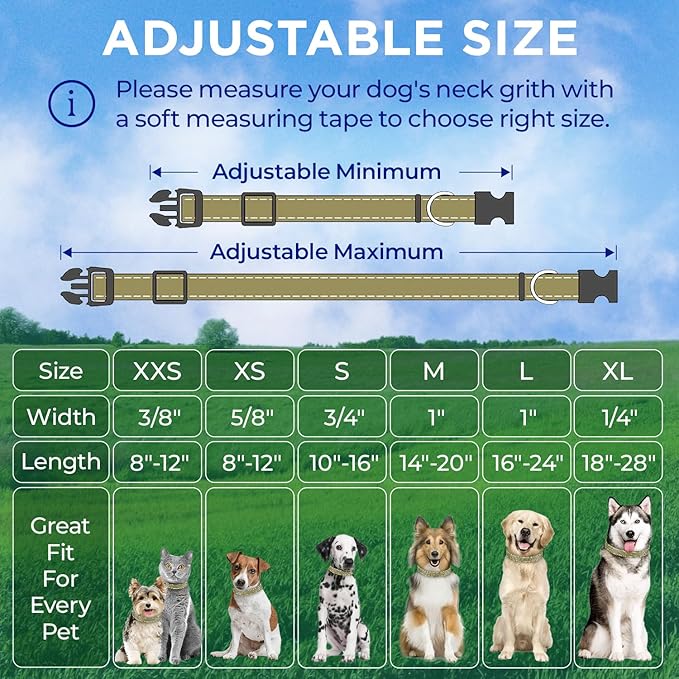 TECEUM Reflective Dog Collar β Olive β XS β Extra Soft Padding β Basic Nylon Pet Collar β Quick Release Buckle β Fits Small, Medium and Large Dogs, Puppies, Cats β ESA & Service Dog Options