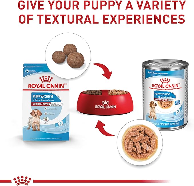 Royal Canin Size Health Nutrition Medium Puppy Dry Dog Food, 4 lb