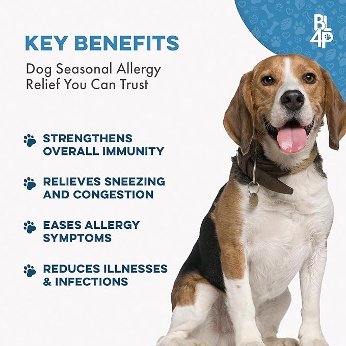 Dog Allergy Relief & Immune Support, Natural Holistic Itch Relief for Dogs, Immune System Guard and Allergy Support, Including Seasonal Allergies, Sneezing, Runny Nose and Itching, 400 Small Pills