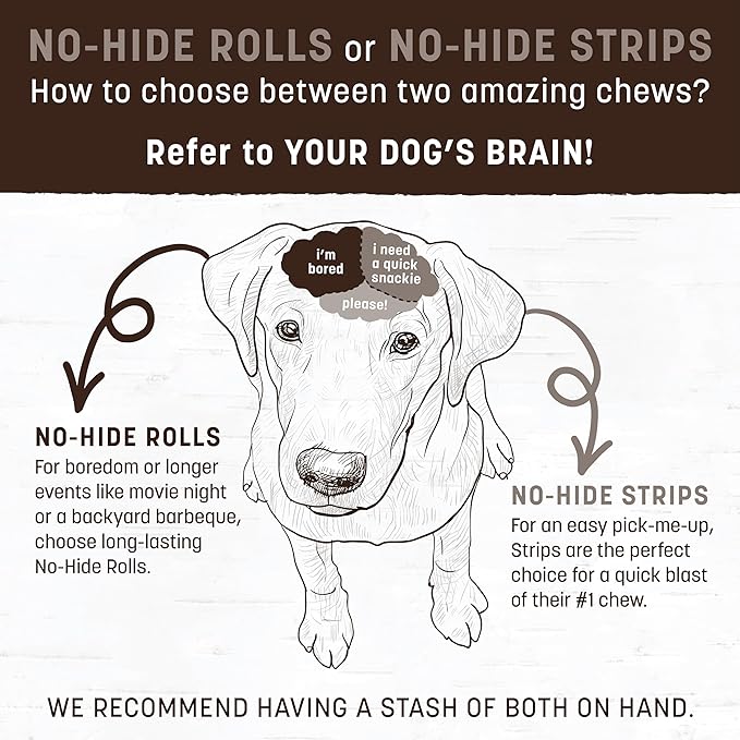 Earth Animal No Hide Medium Venison Flavored Natural Rawhide Free Dog Chews Long Lasting Chew Sticks |Treats for Large Dogs | Great for Aggressive Chewers - 2 Count