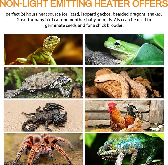 Simple Deluxe 100W Ceramic Heat Lamp Reptile Heat Emitter Heater Lamp Bulb No Light with Free Digital-Thermometer, for Pet Brooder Coop Chicken, Turtle Lizard Snake Aquarium Tank, White