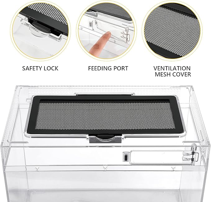 Reptile Terrarium Kit 12" x 7"x 9" Spider Tank Starter Tank, Leopard Gecko Tank, Tarantula Cage Hermit Crab Habitat, Lizard Enclosure, Insect Tank Kit, Jumping Spider Enclosure, Small Isopod Terrarium