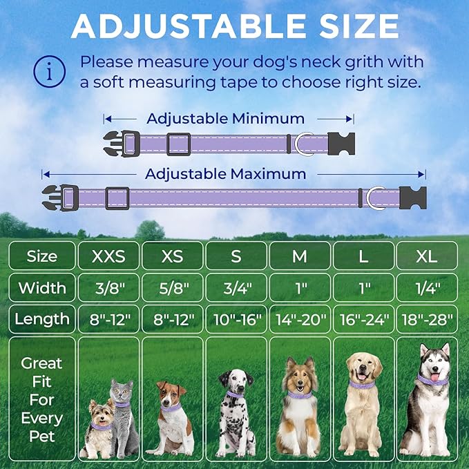 TECEUM Reflective Dog Collar β Lavender β XS β Extra Soft Padding β Basic Nylon Pet Collar β Quick Release Buckle β Fits Small, Medium and Large Dogs, Puppies, Cats β ESA & Service Dog Options