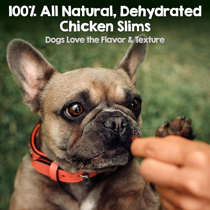 Riley's Slims Chicken Sticks for Dogs - Natural USA Sourced Dehydrated Chicken Jerky Treats, Made in The USA - 2 Pack