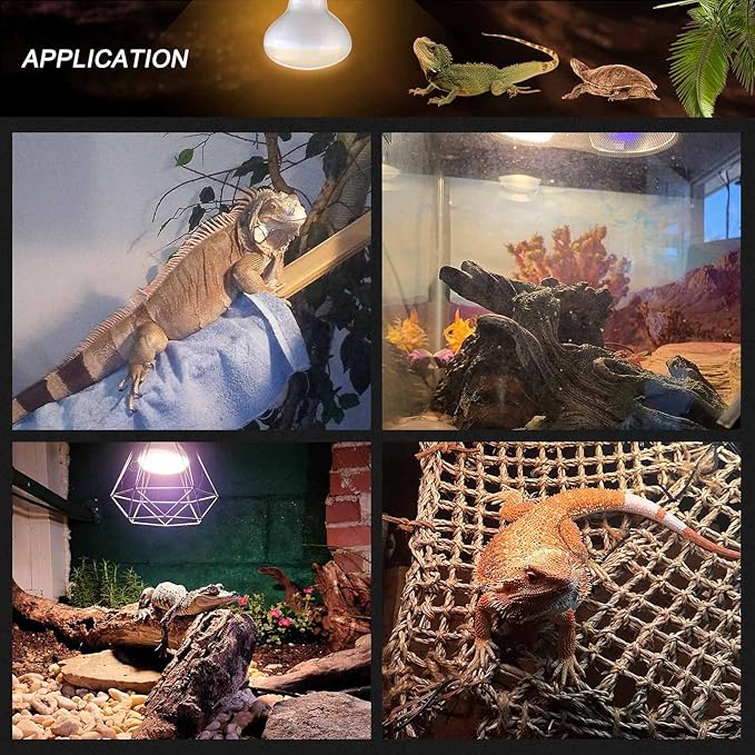 75W Reptile Heat Lamp Bulb/Light, UVA Basking Spot Heat Lamp Sun Light White Bulb for Bearded Dragon Lizard Tortoise Turtle, Reptiles & Amphibians - 4 Pack