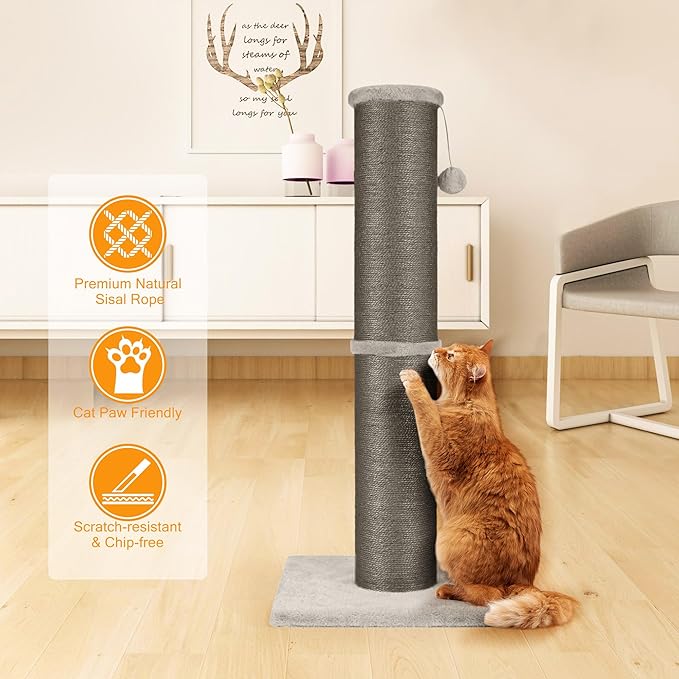 PAWSCRAT Cat Scratching Post 32 Inch High, 5.5 Inch Large Diameter Natural Sisal Cat Scratch Post, Scratch-Resistant and Durable Tall Cat Scratcher for Indoor Cats, Protect Your Furniture, Gery